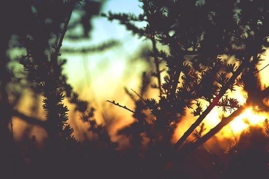 LOS ANGELES - Navis Photography #sun #photography