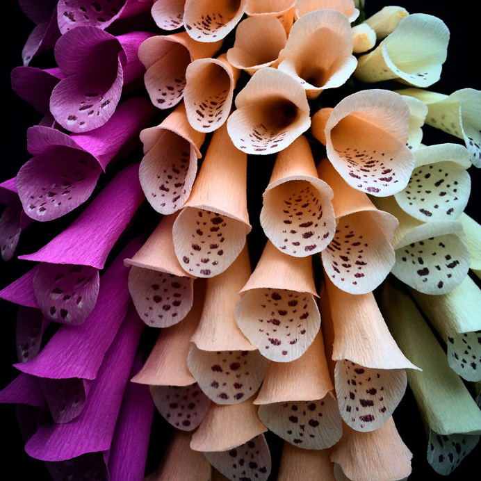 #paper #flowers #pastel