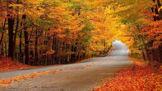 Woods Road Landscape #inspiration #photography #landscape