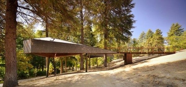 Tree Snake House8 #architecture #house #tree