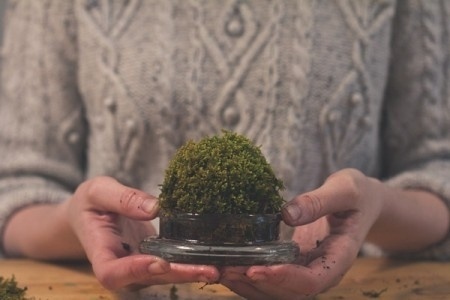 Mosser » ISO50 Blog – The Blog of Scott Hansen (Tycho / ISO50) #mosser #moss