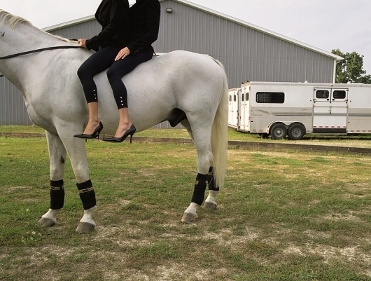 Phantom #nicola #horse #phantom #kuperus #twins