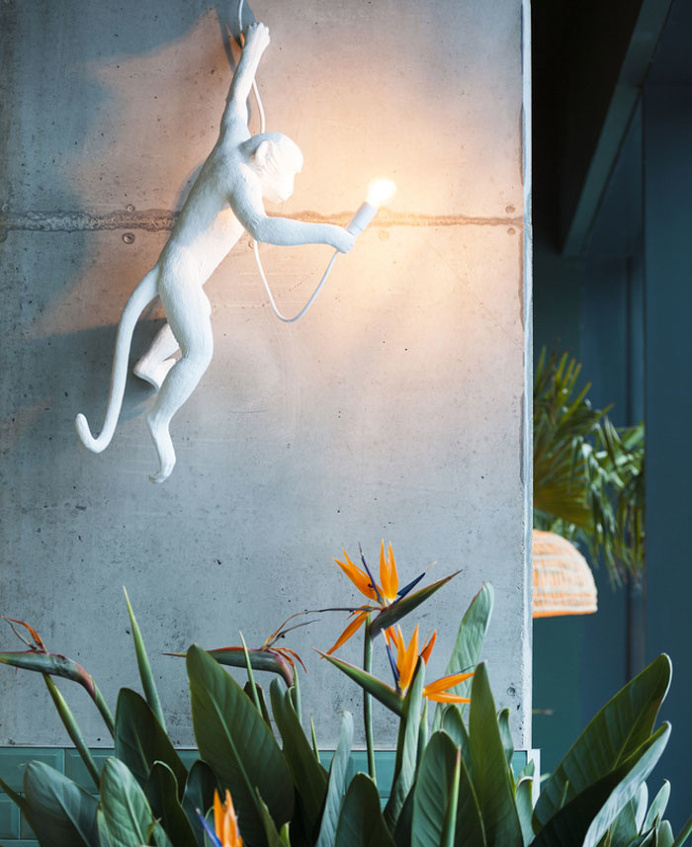 Bogdan Ciocodeica Create Fresh Decor for Kane Restaurant - InteriorZine