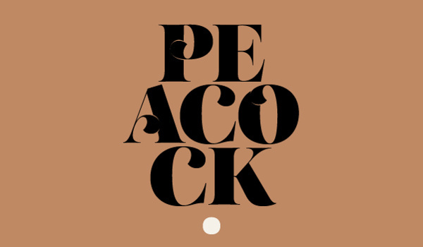 i like the type treatment. simple. mowa.