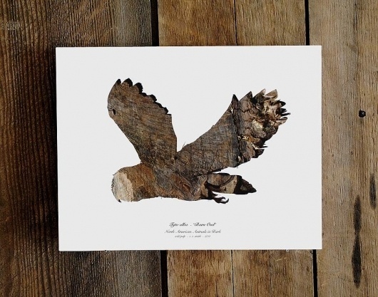 il_fullxfull.274975141.jpg (855×673) #stencil #paper #owl