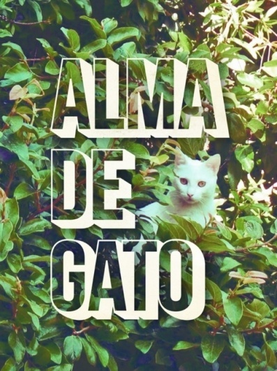THE POGO JOURNAL: What we ARE & What we LOVE. #photography #cat #typography