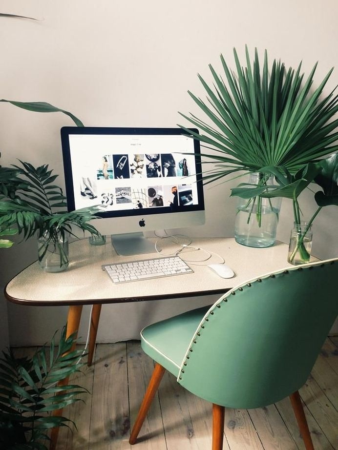 bring some green to your work space #office #home #workspace