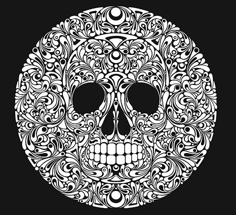 FFFFOUND! | Skulls - And there will be Unicorns #skull #white #black #and