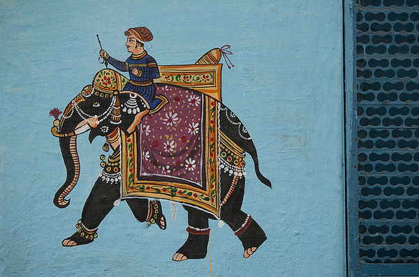 photo #elephant