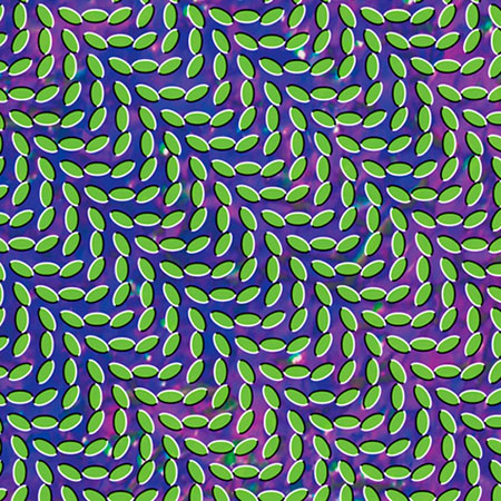 This is the cover art for the Album Cover Merriweather Post Pavilion by the artist Animal Collective. #trippy #illusion #album