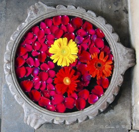 Floating Flower Pot