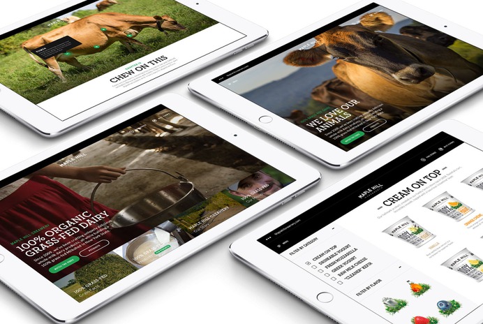 madebycsd — creative director & digital strategist