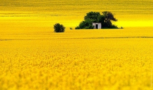 Landscape Photography by Evgeni Dinev » Creative Photography Blog #inspiration #photography #landscape