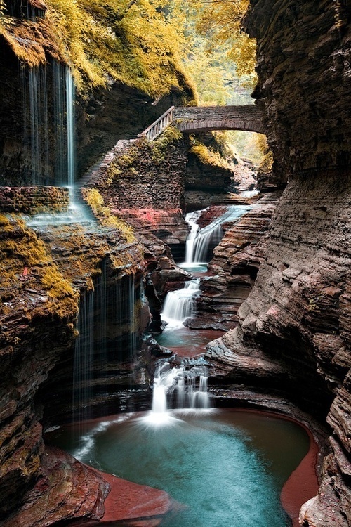 CJWHO ™ (Watkins Glen State Park is located outside the...) #water #stairs #design #landscape #park #photography #nature #watkins #state #york #glen #new