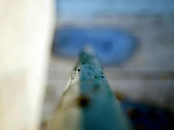 Pin Point #photography #beginner #amateur