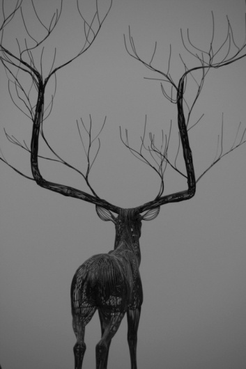tumblr_lzjbp4K0Hh1qjiz8bo1_500.jpg (500×750) #deer