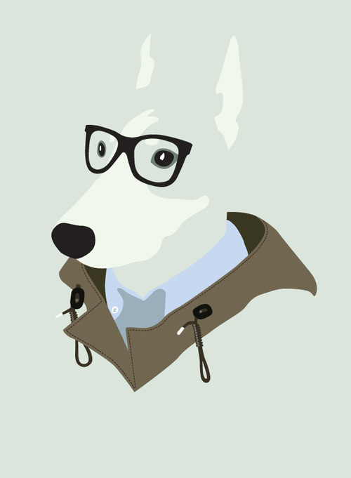 Fashion model at woofmodels #dobermann #illustration #portrait #fashion #dog