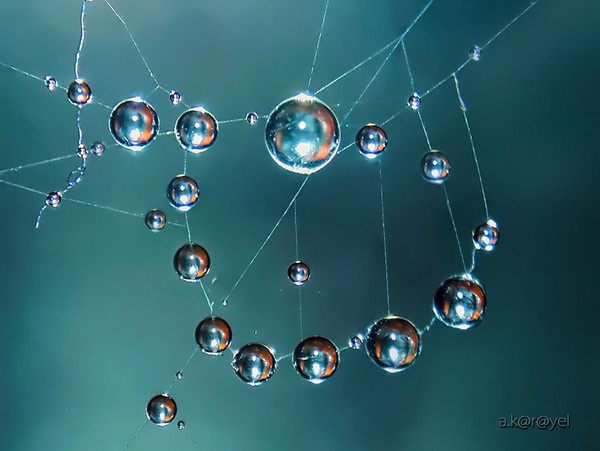 Pearls #pearls
