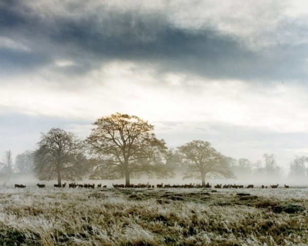 Trevor Ray Hart #inspiration #photography