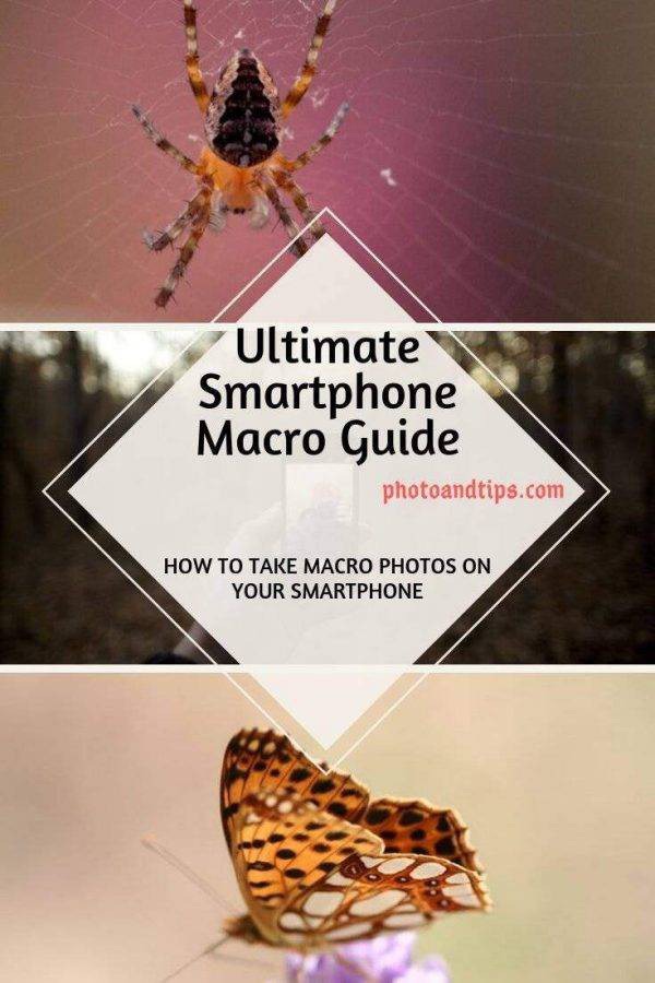 If you are interested to learn the best tips and tactics to deal with the Macro and Close-Up shots, this eBook can guide you better. @photoandtips #photoandtips #smartphonecloseup #iphonemacro #smartphonemacro #smartphonetips #iphonetips #mobiletips #smartphonephotography #iphonephotography #smartphonecamera #smartphonephotographytips #iphonephotographytips #smartphonephoto #iphonephoto #photographytips #photography