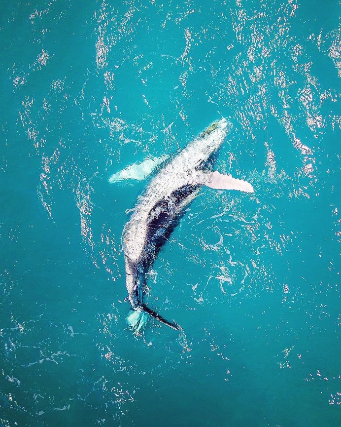 Australia From Above: Stunning Drone Photography by Amber Cree