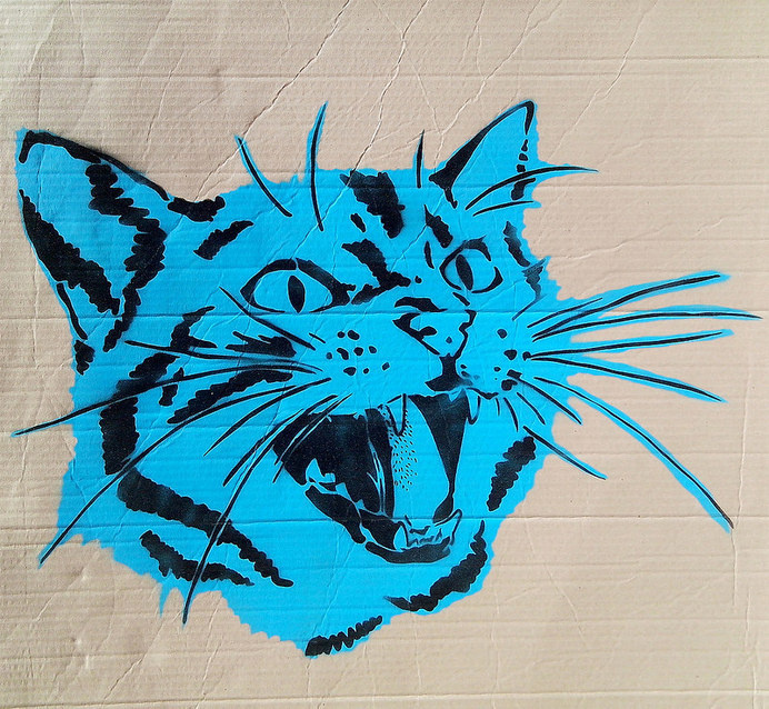 Stencil cat #stencil #art