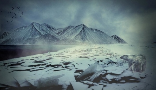 Commercial Photography by LiquidWild #inspiration #photography #commercial