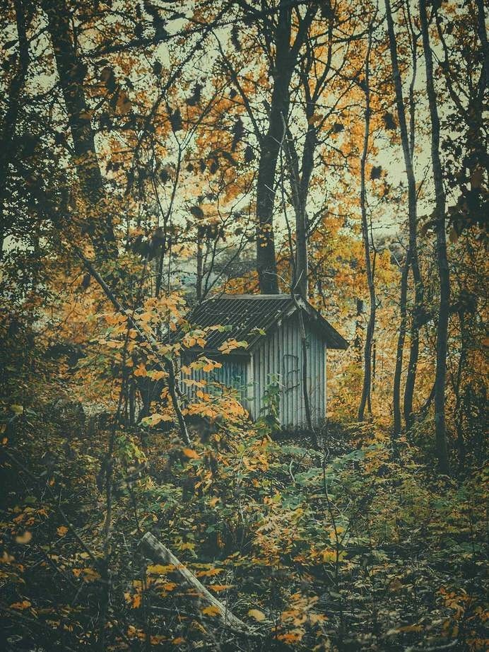 Photograph by Pale Grain #print #cottage #photography #gteborg #sweden #nature #nordic