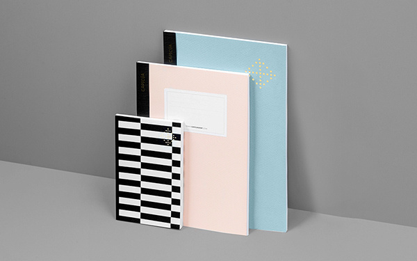 Capicúa on Behance #cover #pattern #book #branding