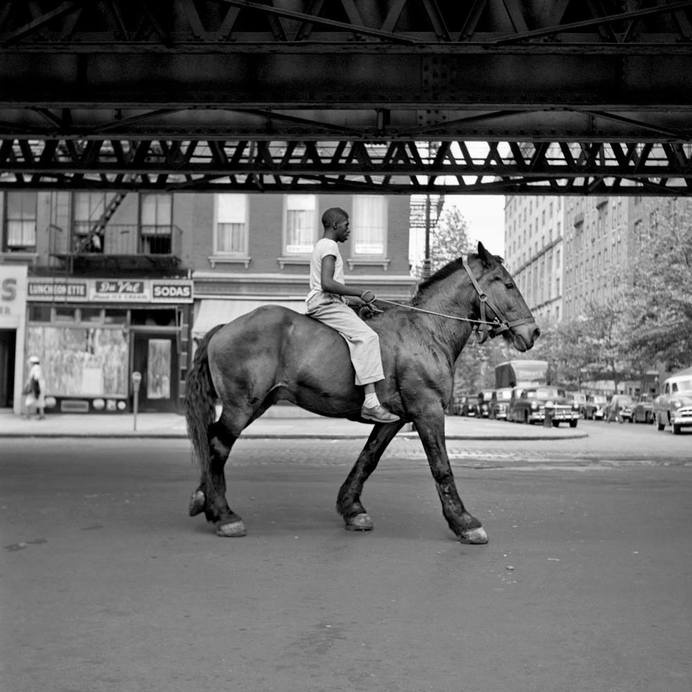 love this photo. #photography #giant #horse #image