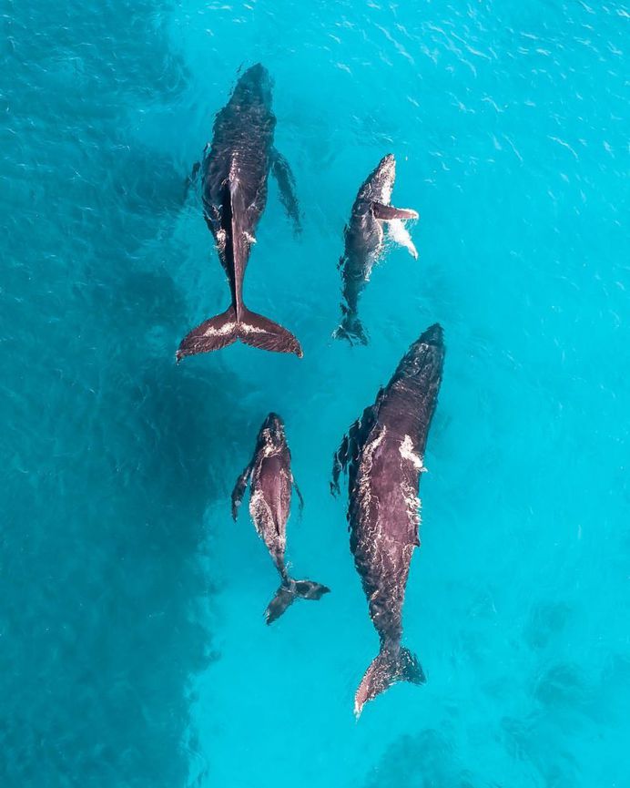 Western Australia From Above: Drone Photography by Mitchell Clarke