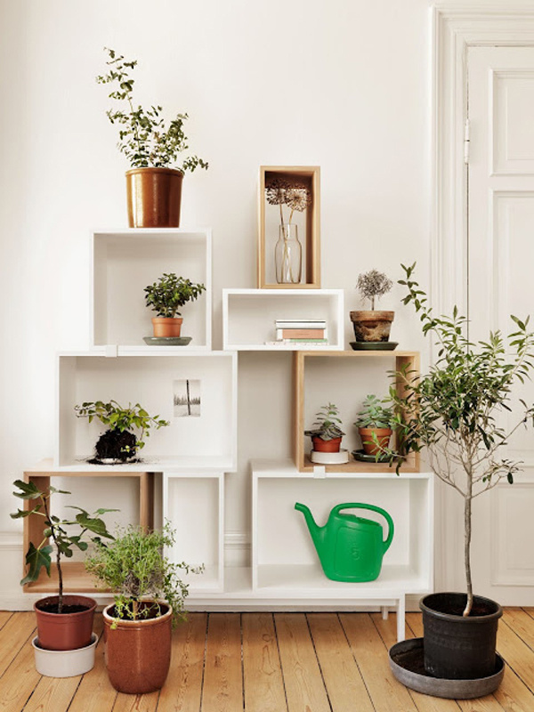 Bringing the outside in: top 10 indoor oases #garden #interior #boxes #plants