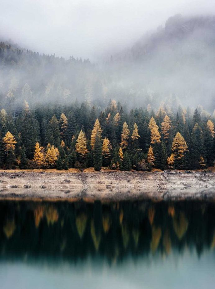 Autumn woods across the lake photo by Samuel Ferrara