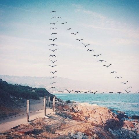 Shaun Kardinal | PICDIT #photo #photography #blue #collage