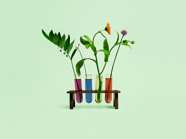 Still life photography by Bond for Finnish health store PÜR #flower #photography #colour