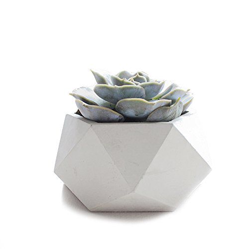 Handmade Concrete Geometric Succulent Planter