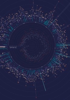 Infografía, infographic