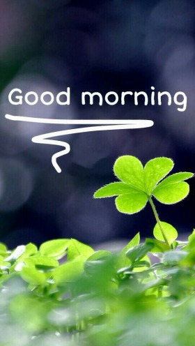 Good Morning Wallpaper New 2019