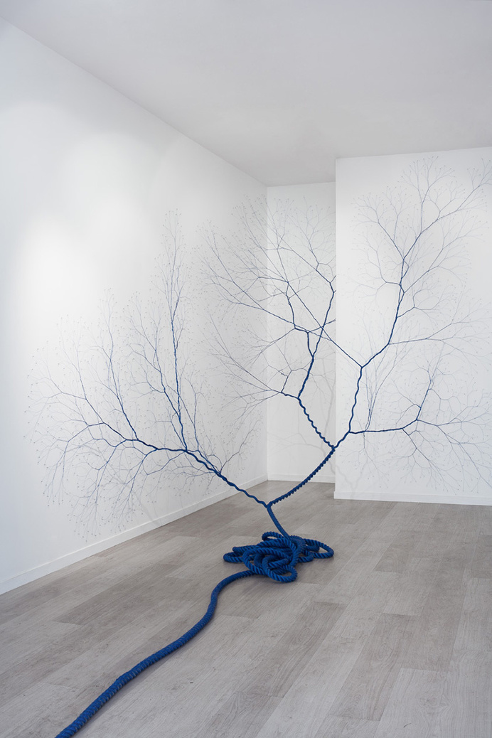 "Ciclotrama" site-specific series by using nylon rope and countless nails.