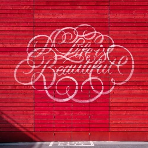Life is Beautiful - 📷by @zellersamuel / @unsplash - #life #beautiful #flourishes #lettering #strengthinletters #goodtype #thedailytype #h