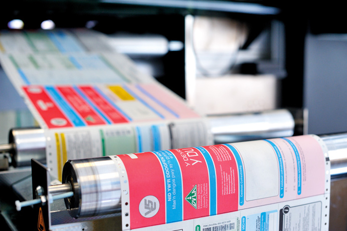 driving licences