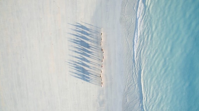 Winners of The Dronestagram's Third Aerial Photography Contest