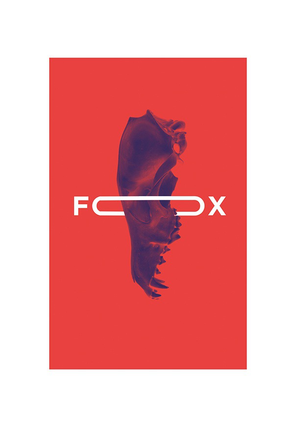 Posters & More