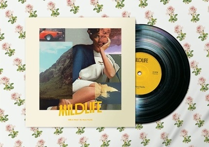 Confetti Studio - Mildlfe #print #sleeve #record #scan #mildlife