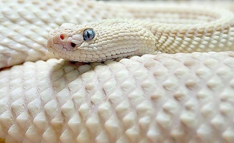 FFFFOUND! | Dead Fix · #white