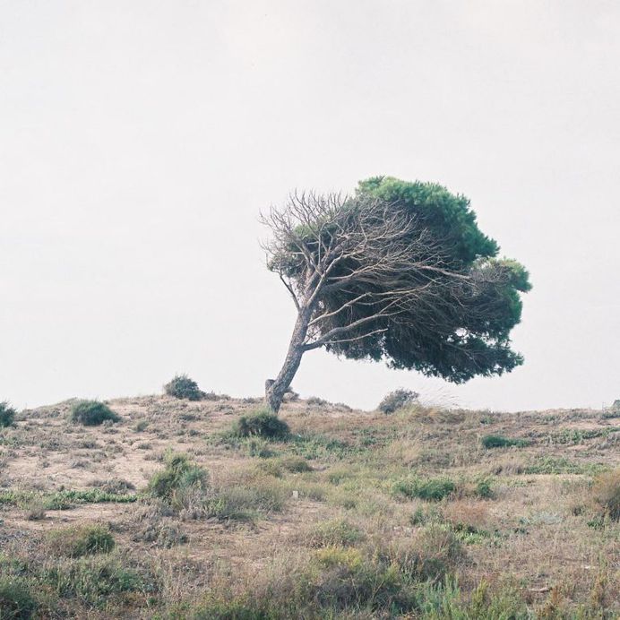 Rural Spain: Minimalist Landscape Photography by David Mirete