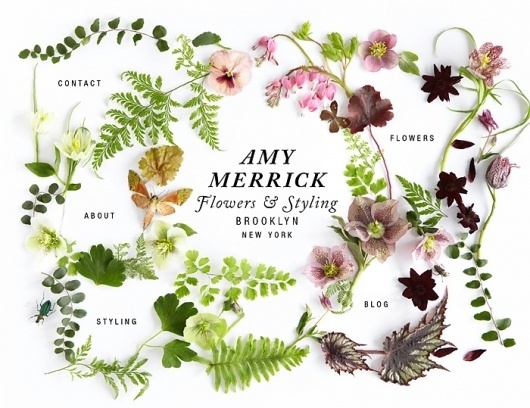 AMY MERRICK : — • — — • — — • — — • — #nature #web #floral