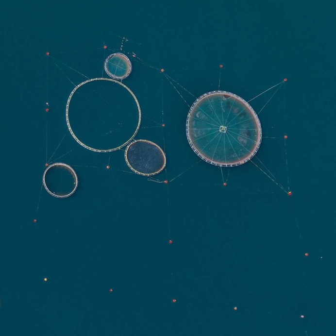 Fish Farms: Intensive Mass Fish Farming in Greece by Bernhard Lang