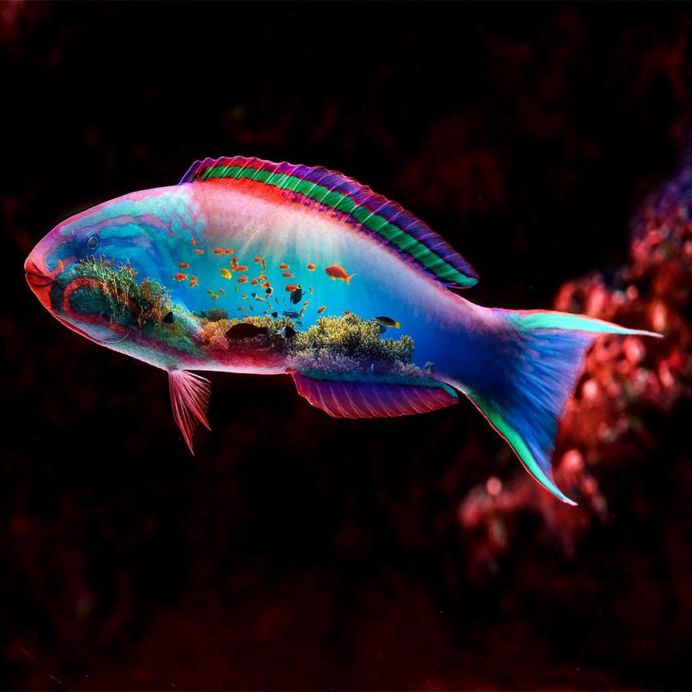 Dreamlike Multi Exposure Photo Manipulations by Paul Haag