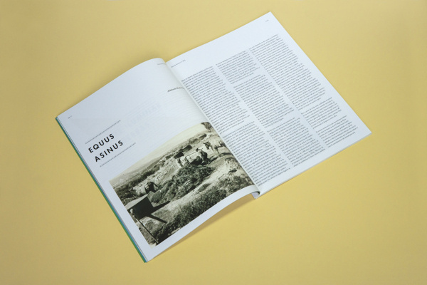 Revista Feria y Fiestas de Socovos on Behance #editorial #magazine #socovos